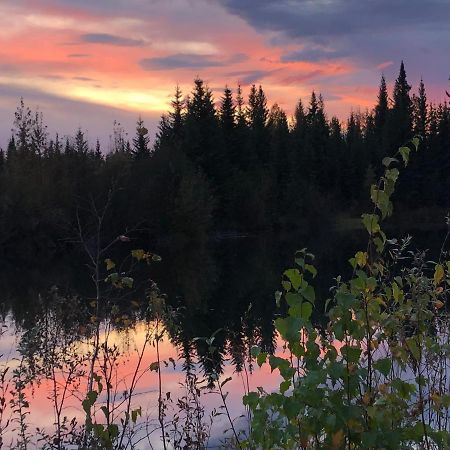 Alaska Log Cabins On The Pond Clear Creek Park Bagian luar foto